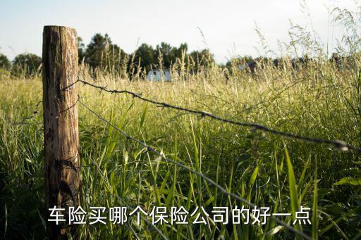 車險買哪個保險公司的好一點