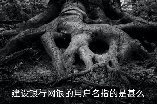 建設(shè)銀行網(wǎng)銀的用戶名指的是甚么