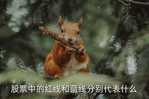 股票中的紅線和藍(lán)線分別代表什么