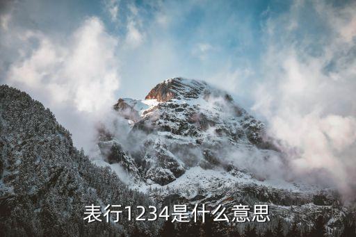 表行是什么意思是什么意思，表行1234是什么意思...