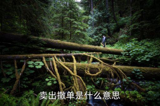 賣出撤單是什么意思，賣出撤單是什么意思