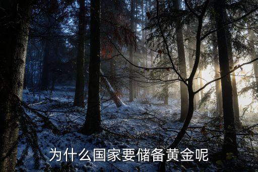 為什么國家要儲備黃金呢