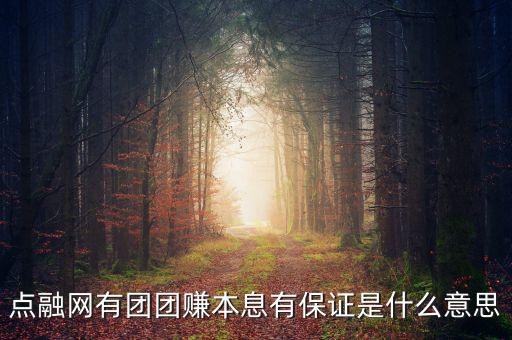 點(diǎn)融網(wǎng)有團(tuán)團(tuán)賺本息有保證是什么意思