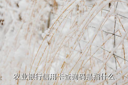 農(nóng)業(yè)銀行信用卡查詢碼是指什么