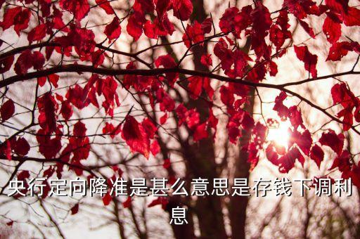 定向降準(zhǔn)意味什么，央行定向降準(zhǔn)是甚么意思是存錢(qián)下調(diào)利息