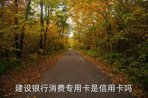 建設銀行消費專用卡是信用卡嗎