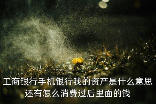 工行里的資產(chǎn)是什么意思，工商銀行手機(jī)銀行我的資產(chǎn)是什么意思還有怎么消費(fèi)過后里面的錢