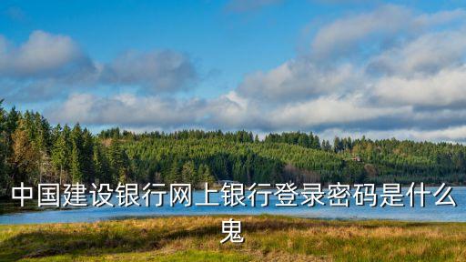 中國建設(shè)銀行網(wǎng)上銀行登錄密碼是什么鬼