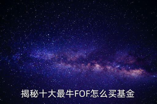 揭秘十大最牛FOF怎么買基金