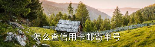 怎么查信用卡郵寄單號