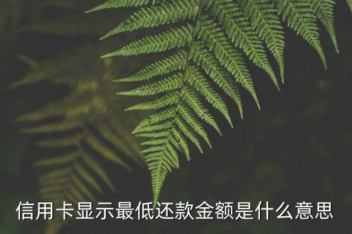 信用卡顯示最低還款金額是什么意思