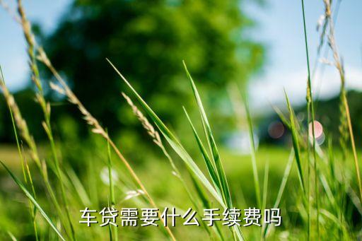 貸貸款需要什么手續(xù)費(fèi)嗎，車貸需要什么手續(xù)費(fèi)嗎