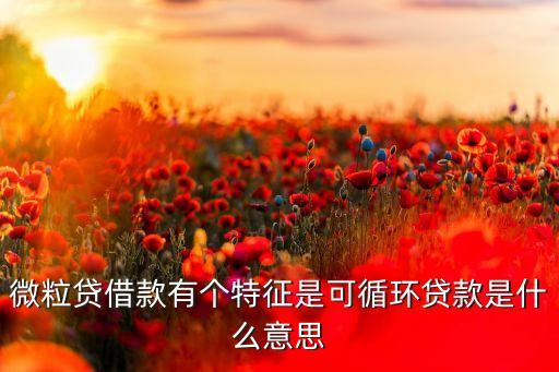 微粒貸借款有個(gè)特征是可循環(huán)貸款是什么意思