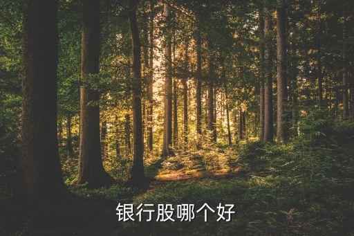 銀行股哪個好