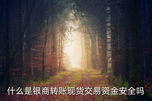 什么是銀商轉(zhuǎn)賬現(xiàn)貨交易資金安全嗎