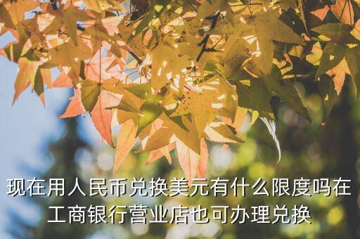 現(xiàn)在用人民幣兌換美元有什么限度嗎在工商銀行營業(yè)店也可辦理兌換