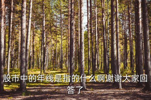 股市中的年線是指的什么啊謝謝大家回答了