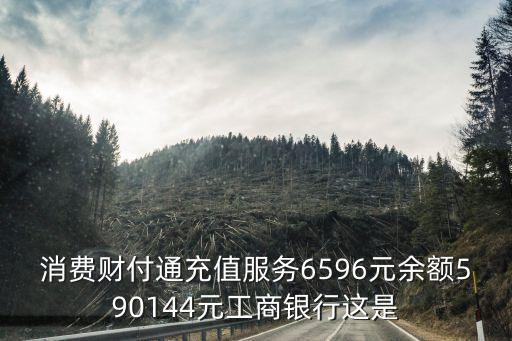 工行消費(fèi)通什么情況，消費(fèi)財(cái)付通充值服務(wù)6596元余額590144元工商銀行這是