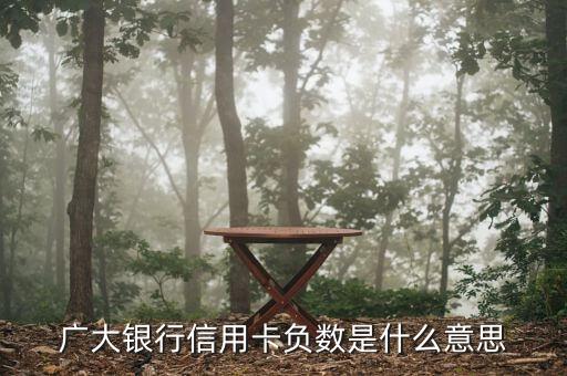廣大銀行信用卡負(fù)數(shù)是什么意思