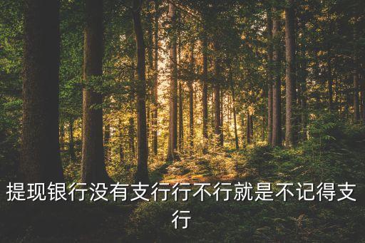 提現(xiàn)支行什么意思，提現(xiàn)銀行沒有支行行不行就是不記得支行