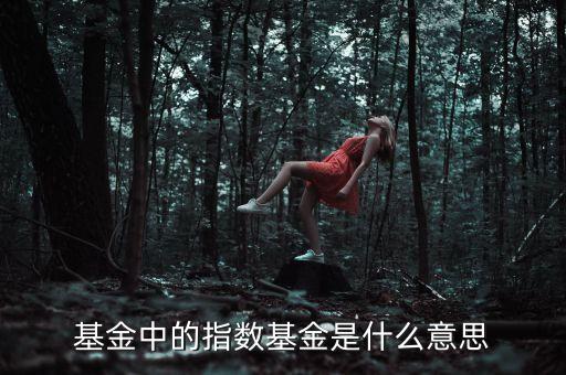 基金中的指數(shù)是什么，基金指數(shù)有什么意義