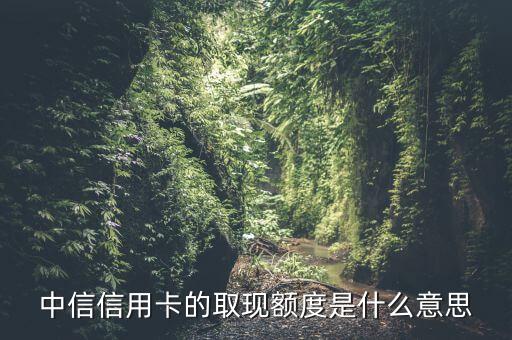 信用卡消費(fèi)額度提現(xiàn)額度是什么意思，本卡信用額度和本卡提現(xiàn)額度分別指什么啊