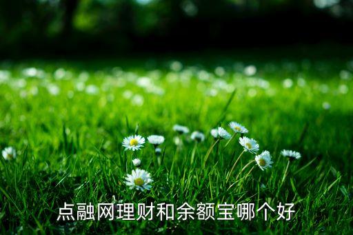 點(diǎn)融網(wǎng)理財(cái)和余額寶哪個(gè)好