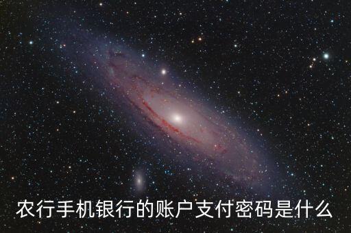 農(nóng)行手機(jī)銀行的賬戶支付密碼是什么