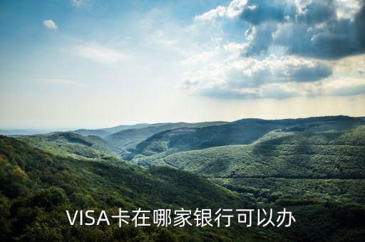 什么銀行能辦visa，現(xiàn)今visa儲蓄卡 哪家銀行可以辦理