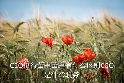 CEO執(zhí)行董事董事有什么區(qū)別CEO是什么職務(wù)