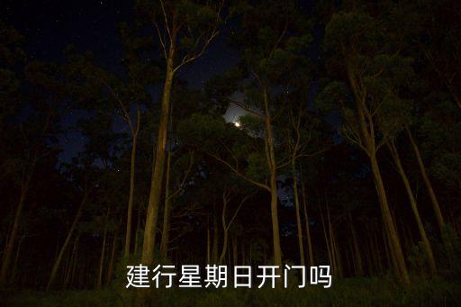 建行星期日開(kāi)門(mén)嗎