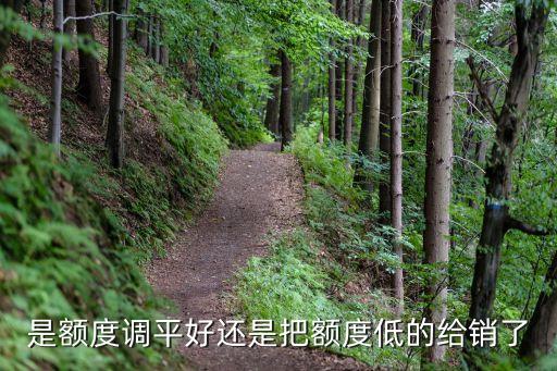 信用卡調(diào)平有什么好處，是額度調(diào)平好還是把額度低的給銷了