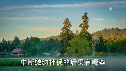 中斷繳納社保的后果有哪些