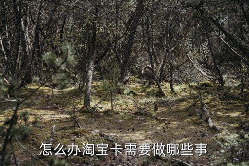 怎么辦淘寶卡需要做哪些事