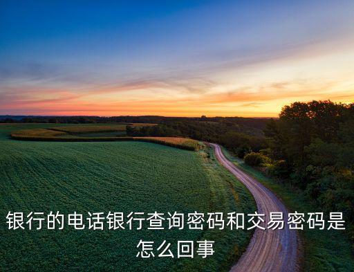 銀行的電話銀行查詢密碼和交易密碼是怎么回事