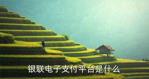 銀聯(lián)電子通是什么，銀聯(lián)電子支付平臺是什么