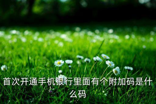 首次開通手機銀行里面有個附加碼是什么碼
