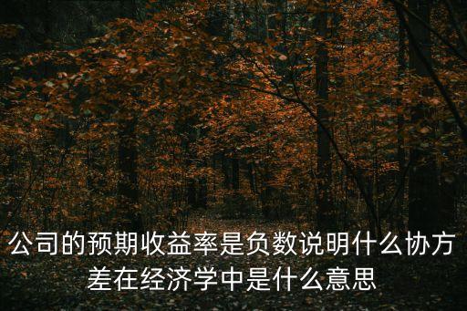 公司的預(yù)期收益率是負(fù)數(shù)說明什么協(xié)方差在經(jīng)濟(jì)學(xué)中是什么意思