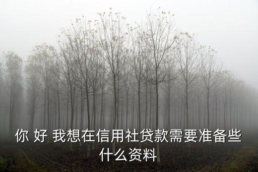 在信用社貸款需要什么手續(xù)，你 好 我想在信用社貸款需要準備些什么資料
