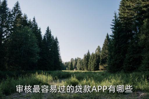 有什么貸款軟件容易過，審核最容易過的貸款A(yù)PP有哪些