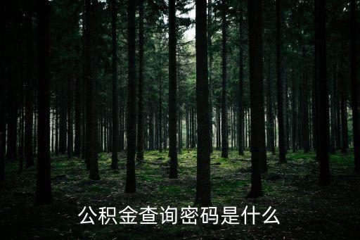 公積金查詢密碼是什么