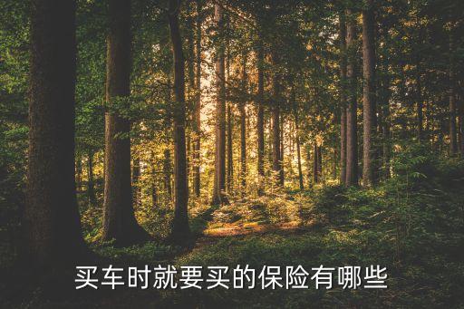 買車時(shí)就要買的保險(xiǎn)有哪些