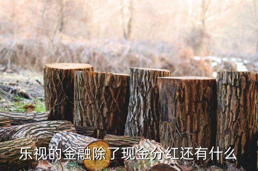 樂視的金融除了現(xiàn)金分紅還有什么