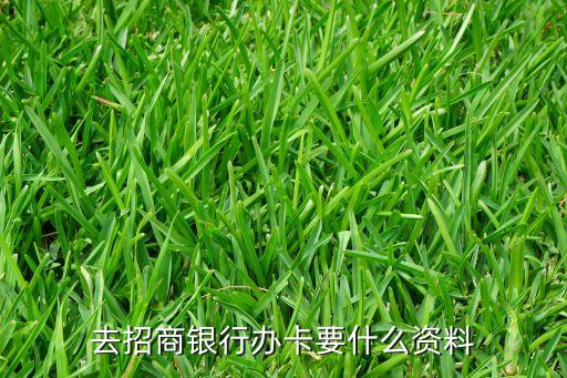 去招商銀行辦卡要什么資料