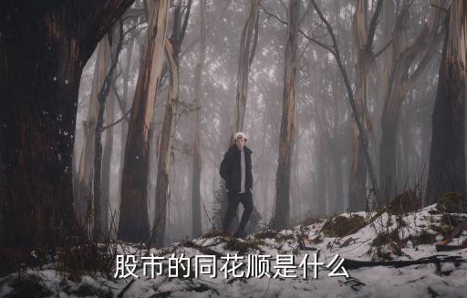 同花順是一家什么公司，股市的同花順是什么
