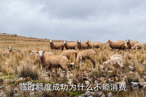 臨時(shí)額度成功為什么不能消費(fèi)