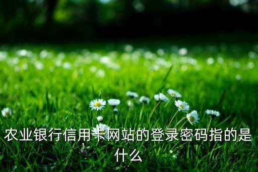 農(nóng)業(yè)銀行信用卡網(wǎng)站的登錄密碼指的是什么