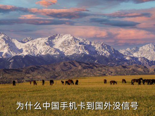 為什么中國(guó)手機(jī)卡到國(guó)外沒(méi)信號(hào)