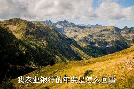 我農(nóng)業(yè)銀行的年費(fèi)是怎么回事