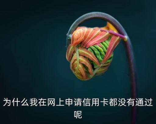 為什么我在網(wǎng)上申請(qǐng)信用卡都沒有通過呢